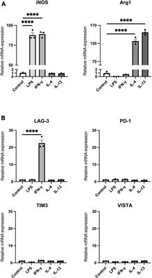 LAG-3 expression in microglia regulated by IFN-γ/STAT1 pathway and metalloproteases